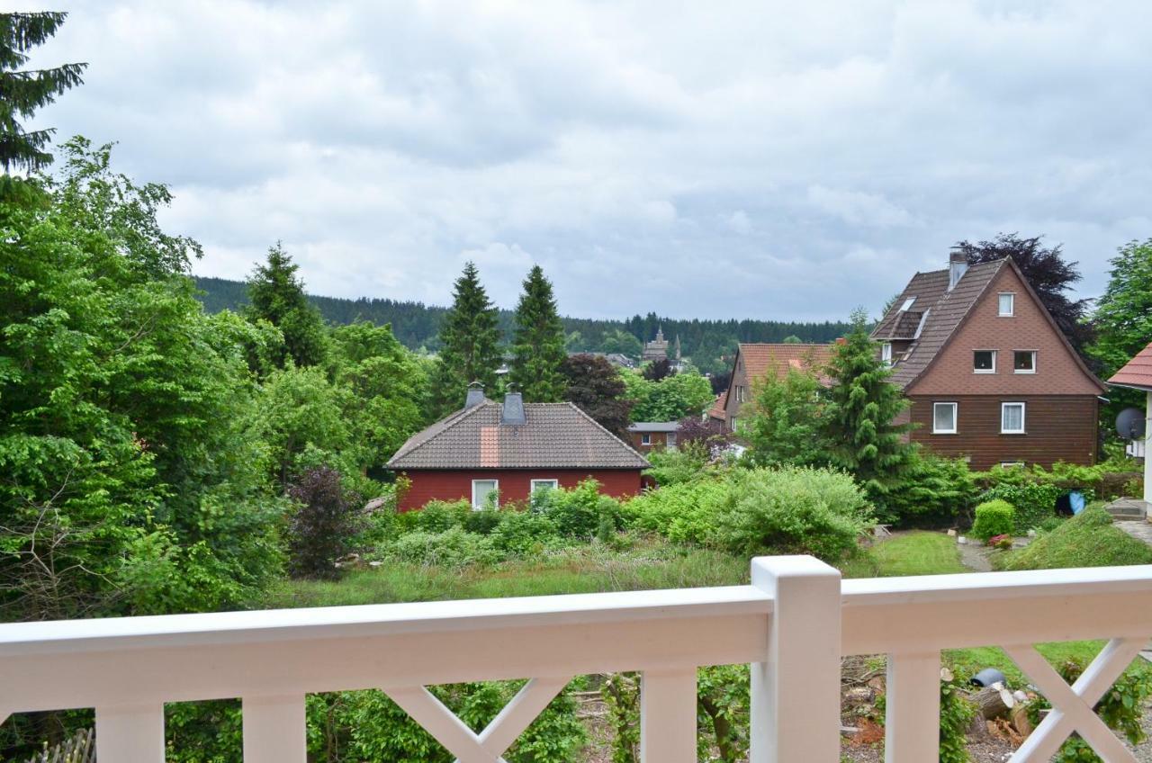 Ferienblockhaus Auerhahn & Luchs Villa Goslar Buitenkant foto