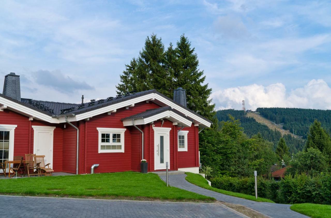 Ferienblockhaus Auerhahn & Luchs Villa Goslar Buitenkant foto